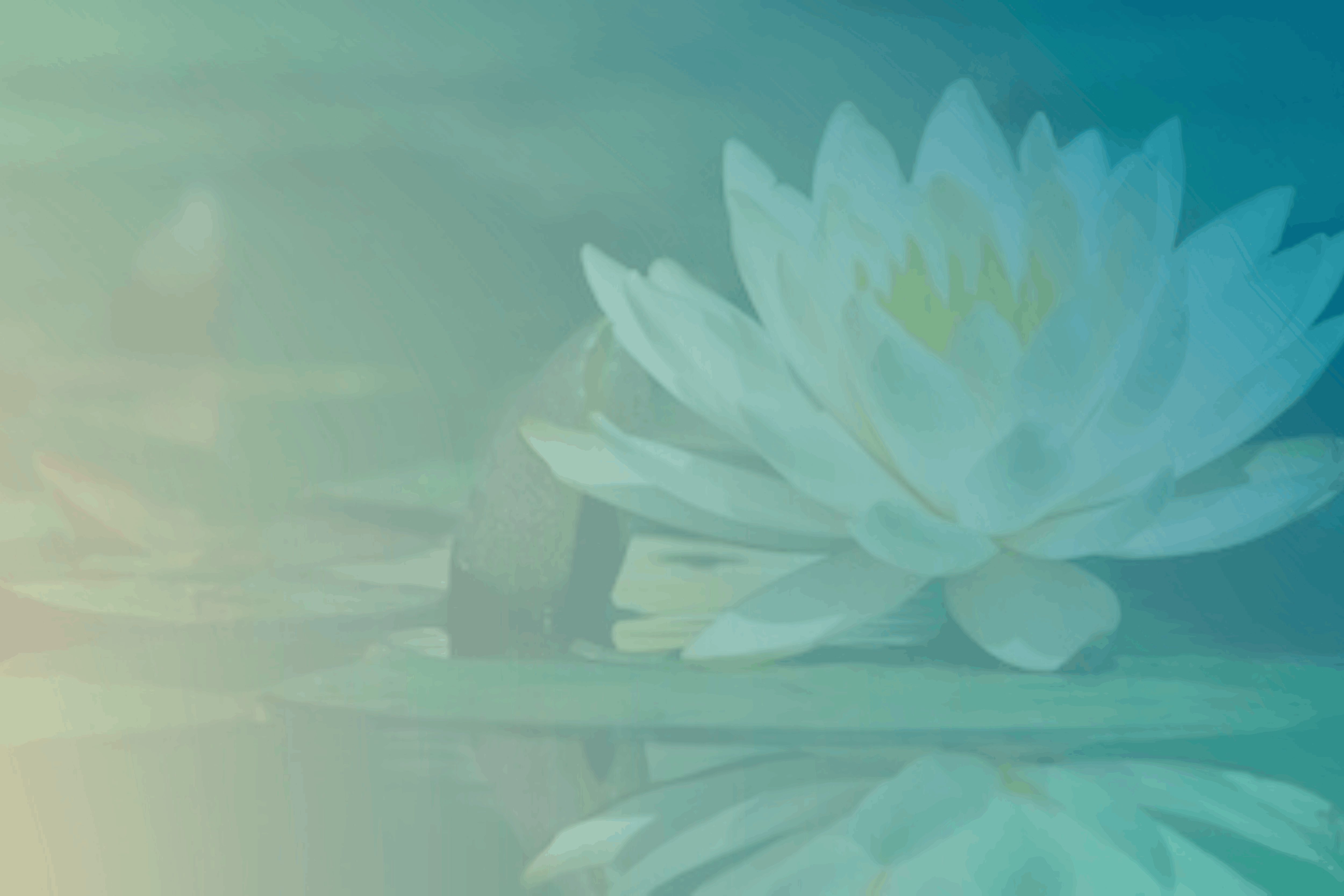 Mindfulness Meditation Retreats