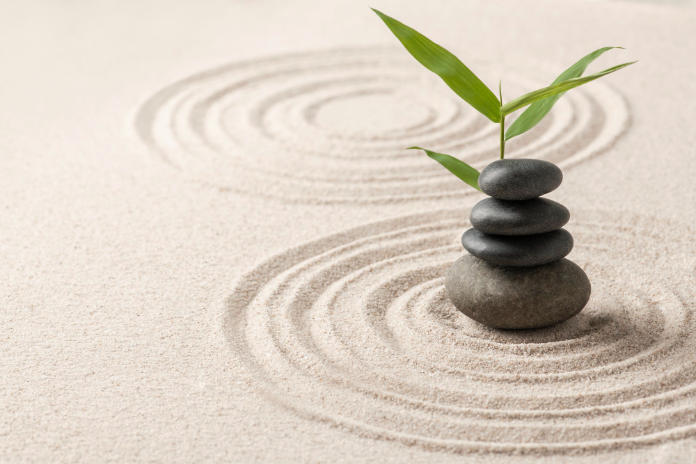 Mindfulness no Ser Integral