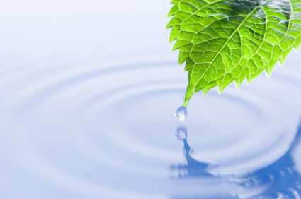 Professional Training  of Mindfulness Based Relapse Prevention - <b>Registration Deadline