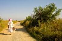 Um passeio mindful pela praia ou o campo