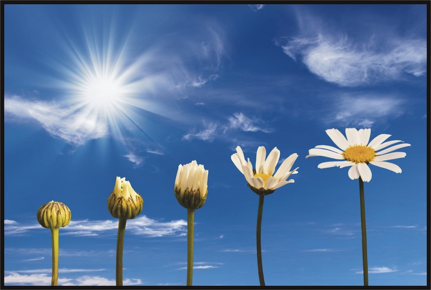 De que forma o mindfulness mudou a minha vida?